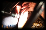 thumbs/0014.jpg