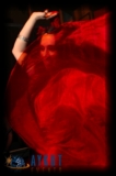 thumbs/0016.jpg