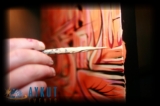 thumbs/038.jpg